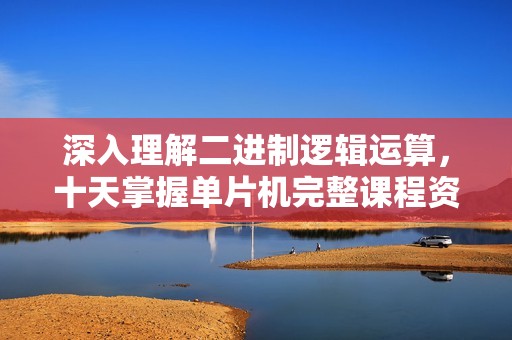 深入理解二进制逻辑运算，十天掌握单片机完整课程资源