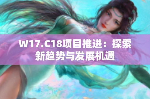 W17.C18项目推进：探索新趋势与发展机遇