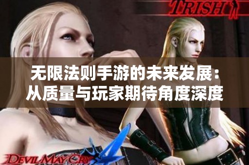 无限法则手游的未来发展：从质量与玩家期待角度深度剖析