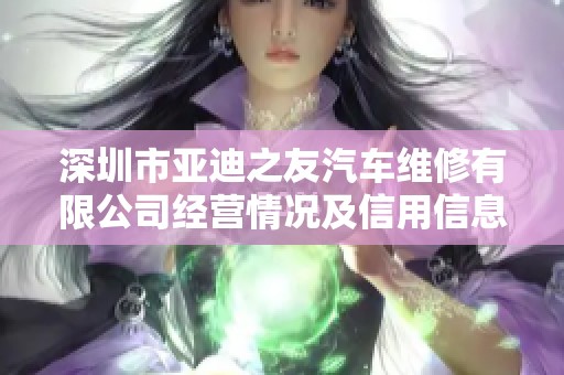深圳市亚迪之友汽车维修有限公司经营情况及信用信息分析