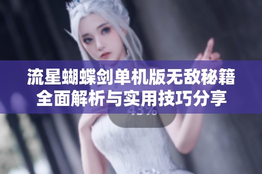 流星蝴蝶剑单机版无敌秘籍全面解析与实用技巧分享
