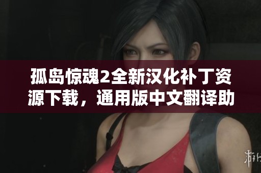 孤岛惊魂2全新汉化补丁资源下载，通用版中文翻译助你畅享游戏体验