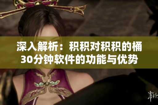 深入解析：积积对积积的桶30分钟软件的功能与优势