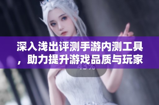 深入浅出评测手游内测工具，助力提升游戏品质与玩家体验的最佳选择攻略