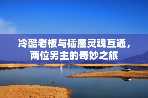 冷酷老板与插座灵魂互通，两位男主的奇妙之旅
