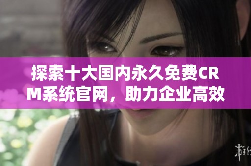 探索十大国内永久免费CRM系统官网，助力企业高效管理客户关系