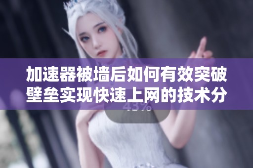 加速器被墙后如何有效突破壁垒实现快速上网的技术分享