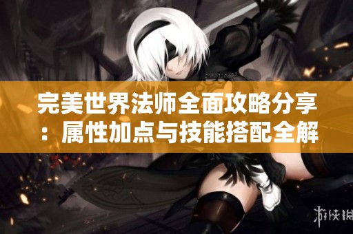 完美世界法师全面攻略分享：属性加点与技能搭配全解析