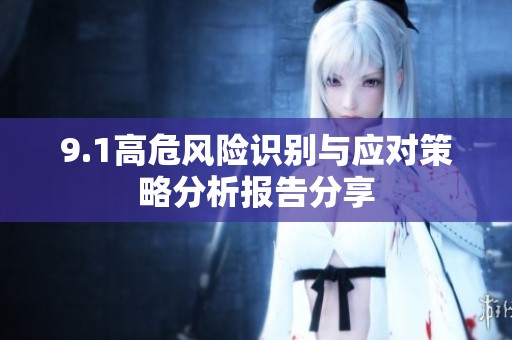 9.1高危风险识别与应对策略分析报告分享