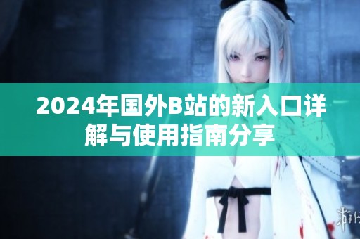2024年国外B站的新入口详解与使用指南分享