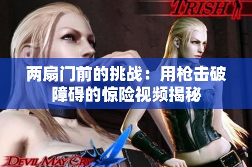 两扇门前的挑战：用枪击破障碍的惊险视频揭秘