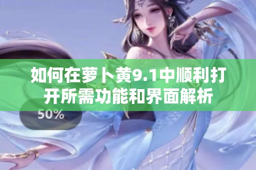 如何在萝卜黄9.1中顺利打开所需功能和界面解析
