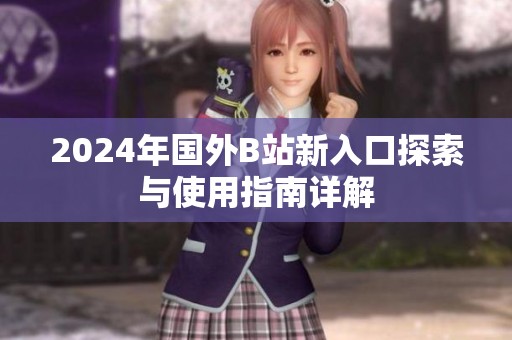 2024年国外B站新入口探索与使用指南详解