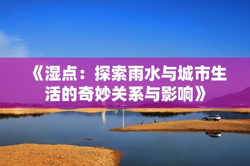 《湿点：探索雨水与城市生活的奇妙关系与影响》
