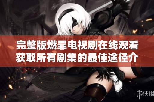 完整版燃罪电视剧在线观看获取所有剧集的最佳途径介绍