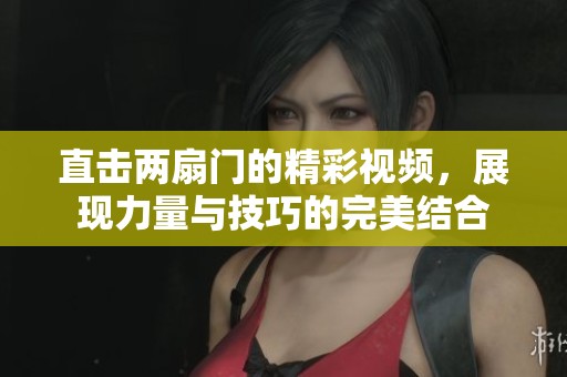 直击两扇门的精彩视频，展现力量与技巧的完美结合