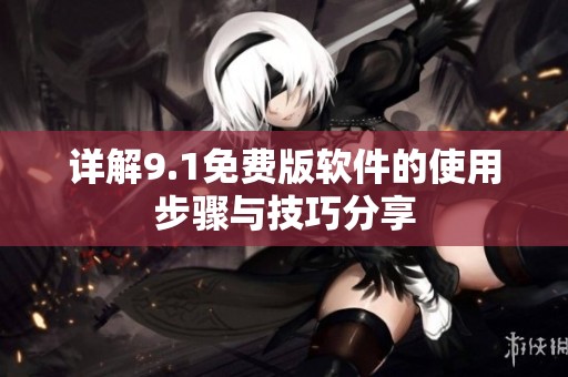 详解9.1免费版软件的使用步骤与技巧分享
