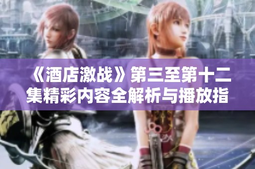 《酒店激战》第三至第十二集精彩内容全解析与播放指引