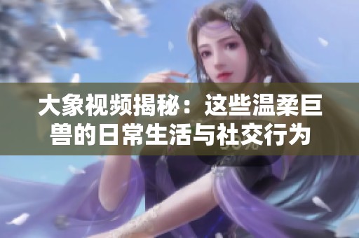 大象视频揭秘：这些温柔巨兽的日常生活与社交行为