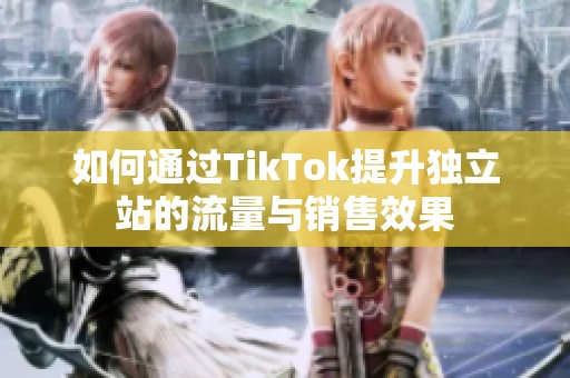 如何通过TikTok提升独立站的流量与销售效果