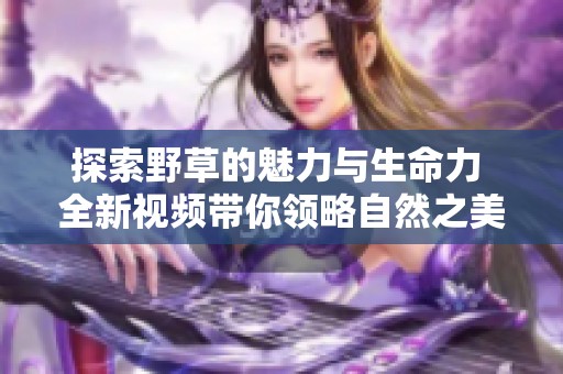 探索野草的魅力与生命力 全新视频带你领略自然之美