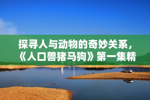 探寻人与动物的奇妙关系，《人口兽猪马狗》第一集精彩解读